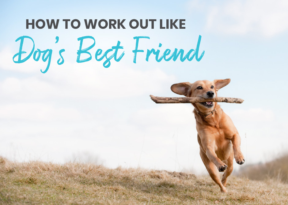 How to work out like dog's best friend